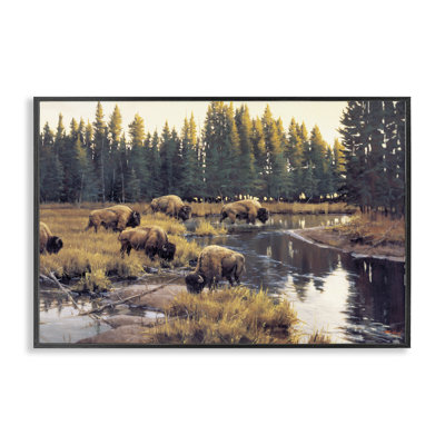 Grazing Bison Along Riverbank Framed Giclee, design by Paco Young