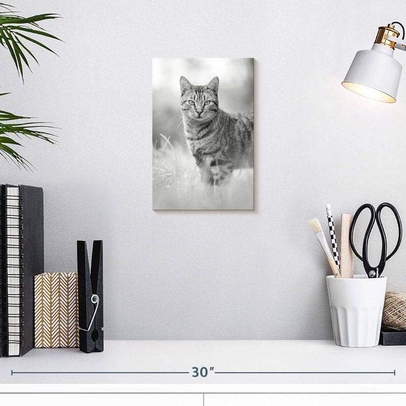 Chat gris Brampt, H 12 po x l 8 po