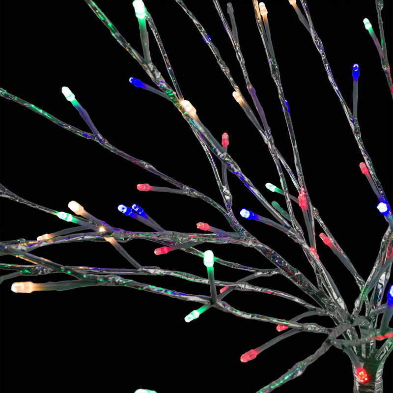 Arbres et branches alpins éclairés, Multicolore