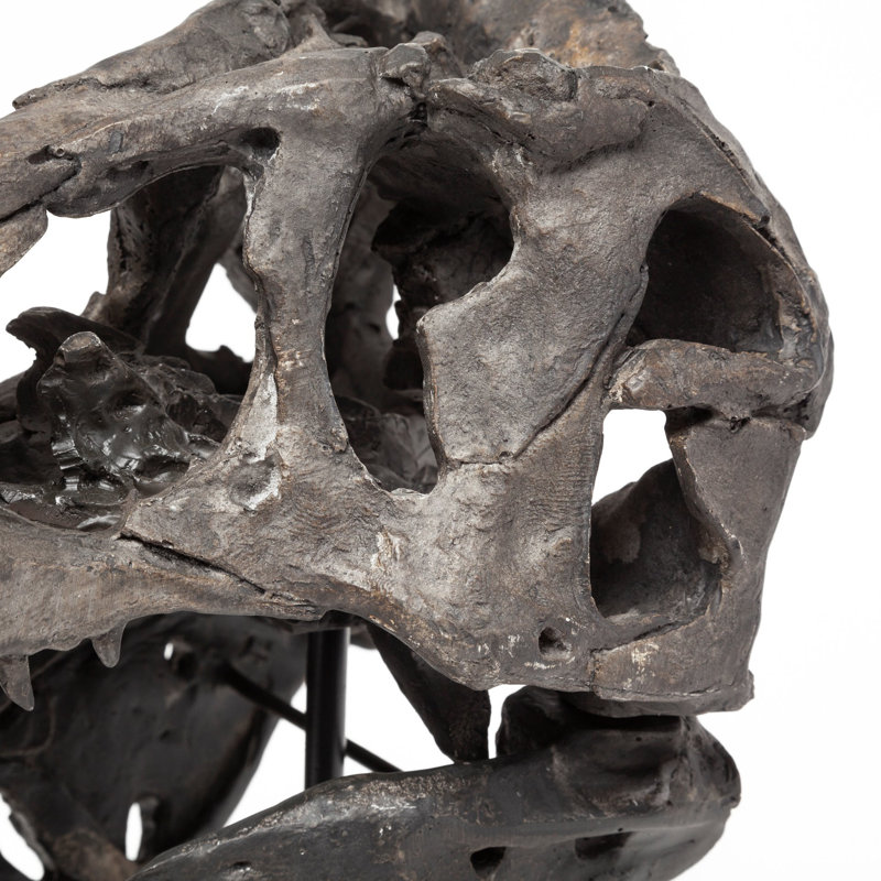 Buste de tyrannosaure, H 12 po x l 10 po x P 6 po