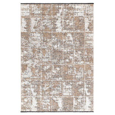 Tremyah Abstract Indoor Rug