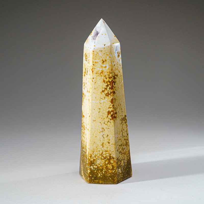 Océan poli, point de Jasper de Madagascar (1,3 lb)