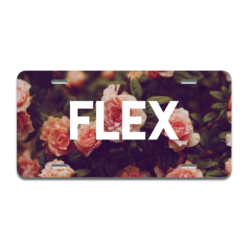 Flex Aluminum Plate Frame
