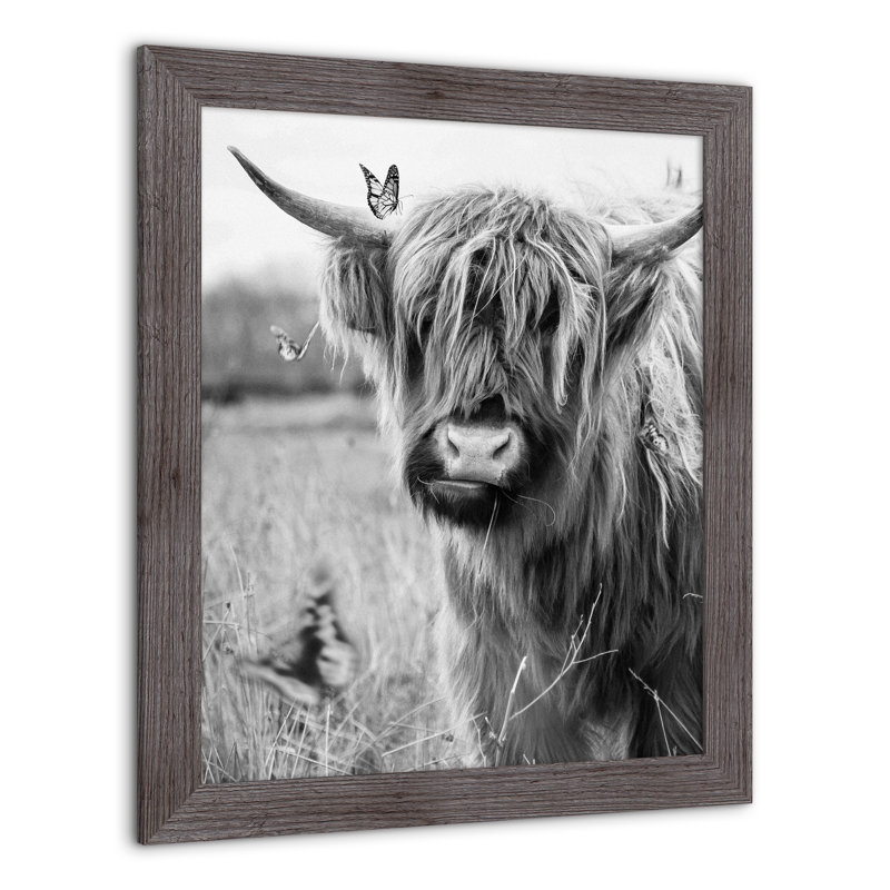 Noir et blanc Highland Cow - peinture encadrée
