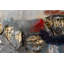 Mirage Canvas Print