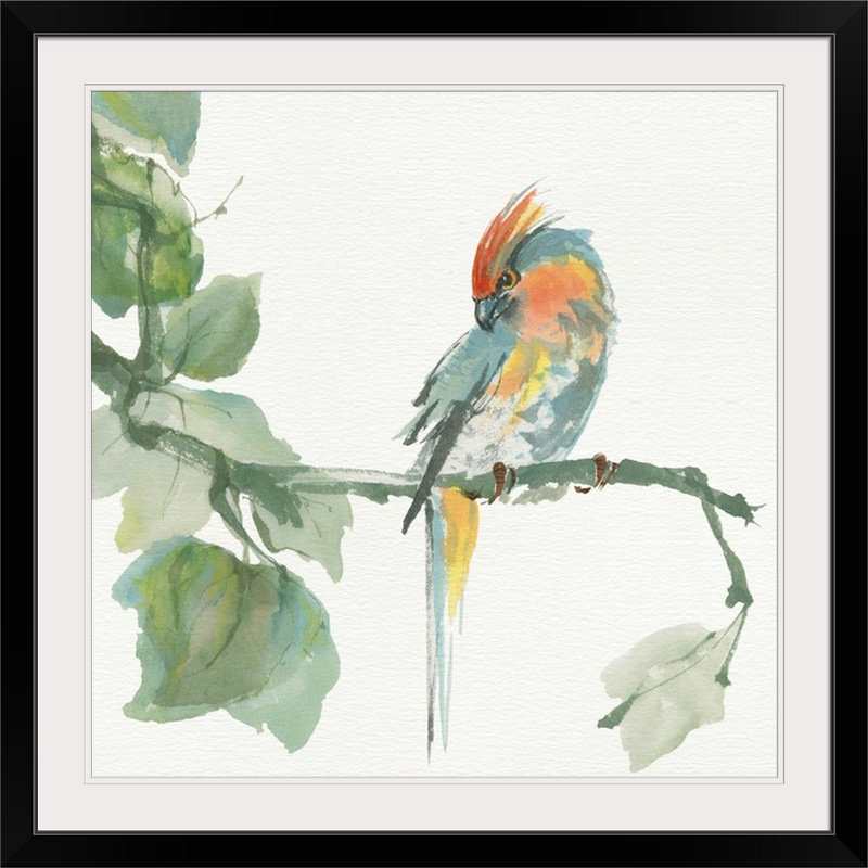 Ayled «Crested Cockatoo» par Chris Paschke, reproduction d'art, H 35 po x l 35 po x P 1,5 po, Toile