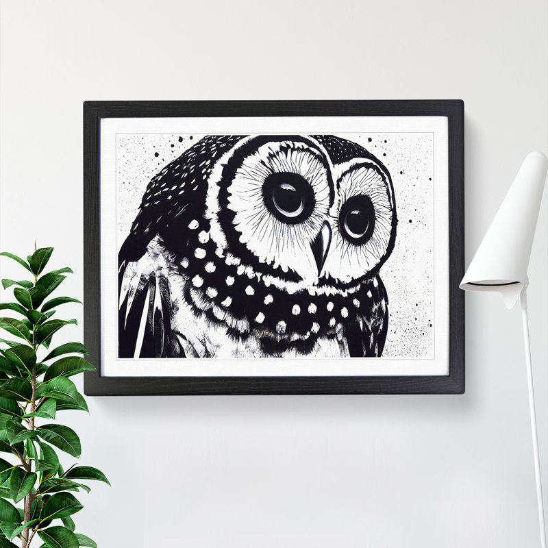 Striking Owl Art Vol.2 - Single Picture Frame Print, Black, 46cm H x 64cm W x 2cm D