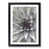 Black Framed