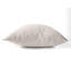 Coussin Elegant Palms-108050193-108050194