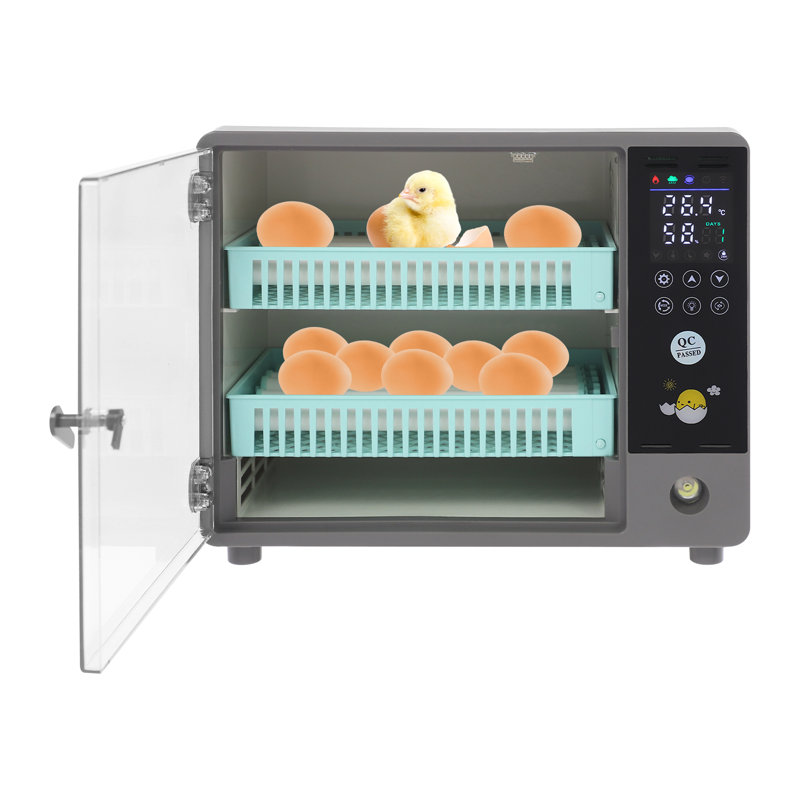 Egg Incubator