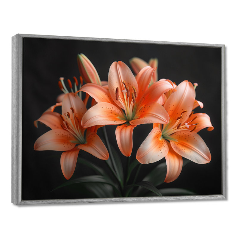 Orange, lis noir, printemps, photo III, lys, art mural, salon, Cadre simple noir, H 12 po x l 20 po