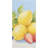 Quick Dry Microfiber Fruit Lemon Beach Towel, 60 x 80 in