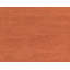 Sprouts Wool Area Rug in Orange-40705250