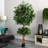 72'' Faux Ficus Tree in Pot