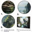 Thailand Hidden Waterfalls - Landscapes Canvas Art Print-1615649586-1615649589