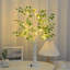 Holiday Lighting