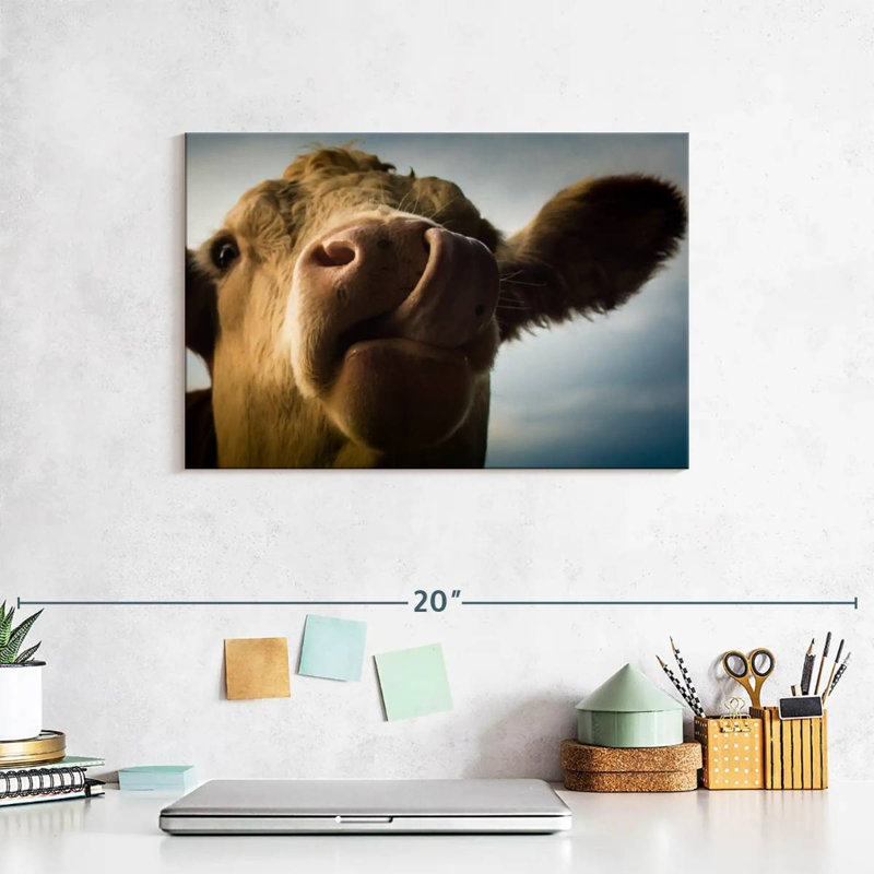 Silly Cow, 8" H x 12" W