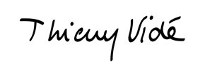 Thierry Vide Logo