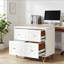 Classeur multifonctionnel, classeur de style nordique