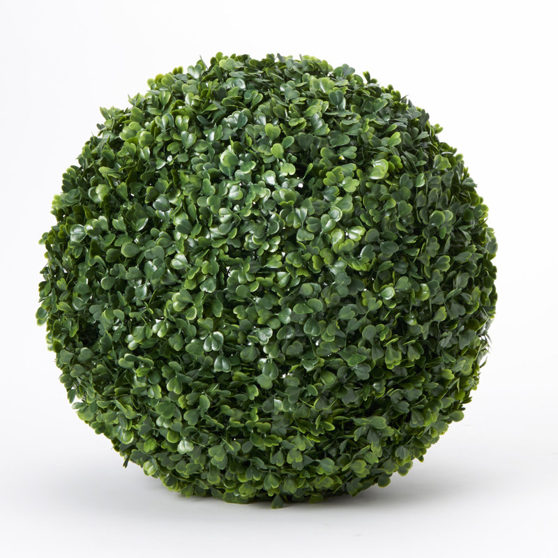 Topiaire buis ball plante