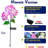 Ajahnae Plastic / Acrylic Plants & Flowers Fairy Garden