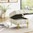 22 Inches Anti-Scratch Leather Storage Ottoman, Pet Friendly Entryway Bench With Golden Stainless Steel Legs-1566973676
