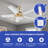 Rahaf Ceiling Fan with LED Lights