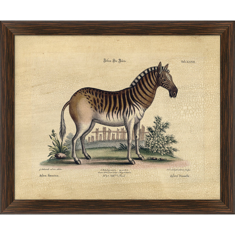 Crackled Zebra I Framed Graphic Art