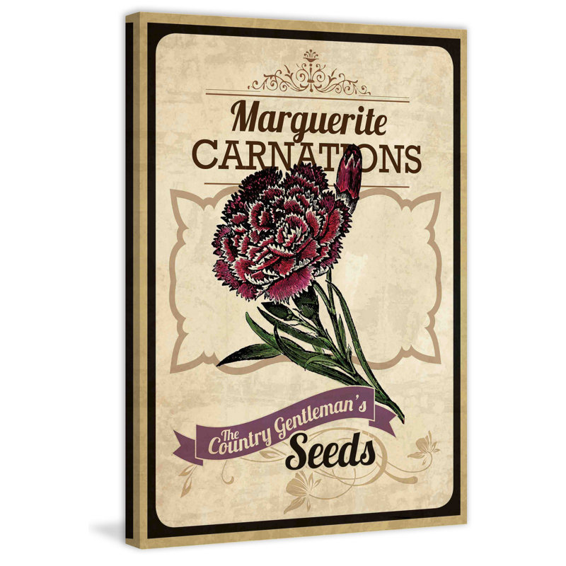 Flower Packet Carnation - Wrapped Canvas Print, 76 cm H x 51 cm W