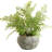 Yoshida Artificial Fern Plant in Planter
