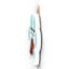 Gruia Wall Decor