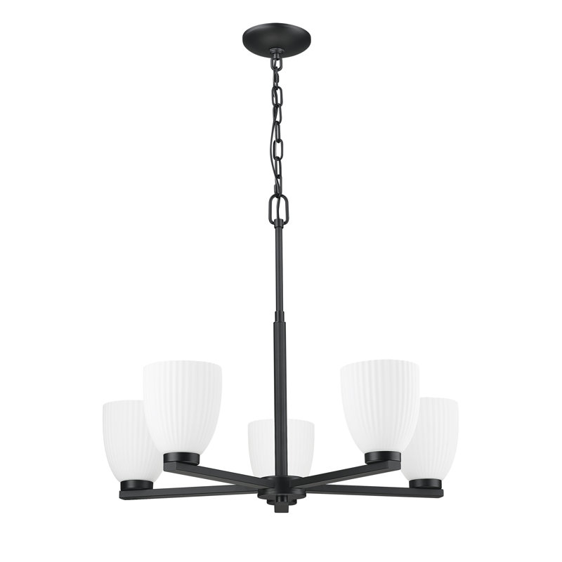 Lustre moderne Mateo, 5 lumières, Noir mat, H 21,25 po x l 25,25 po x P 25,25 po