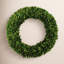 Boxwood Wreath-1919842298