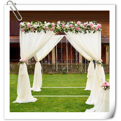 Wedding No Animal(s)