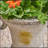 DELPHINE URN