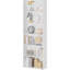 Rielynn 180cm H x 60cm W Standard Bookcase-1380073496