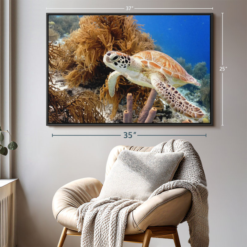 Turtle Reef Canvas Print, 25" H x 37" W
