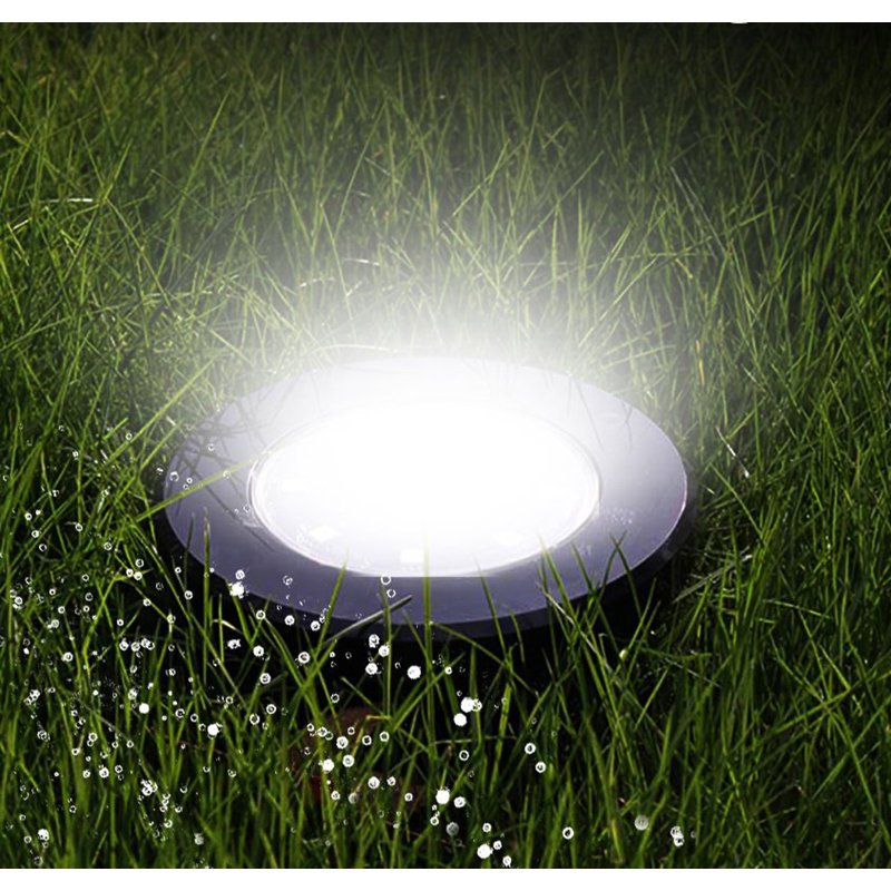 Black Solar Powered Pathway Light, Cool White