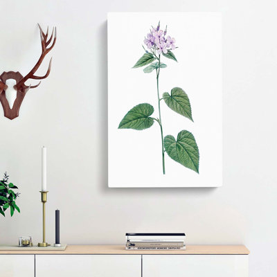 Lilac Morning Glory Flowers by Pierre-Joseph Redoute - Wrapped Canvas Art - Wrapped Canvas