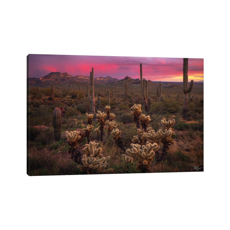 1 Piece Wall Art on Canvas, 20.32 cm H x 30.48 cm W, Wrapped Canvas