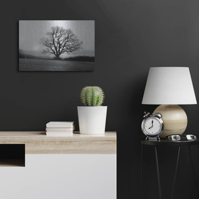 Latitude Run® 'Meadow Tree' by Photoinc Studio, Metal Wall Art