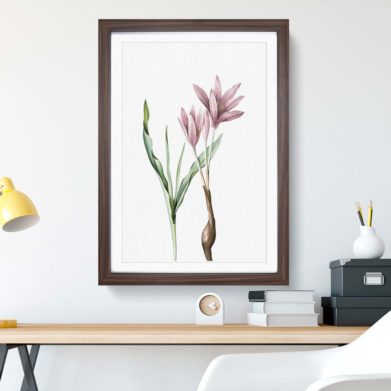 Pink Autumn Crocus Flowers by Pierre-Joseph Redoute - Picture Frame Painting Print, Walnut Framed, 36cm H x 27cm W x 2cm D