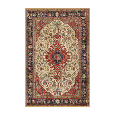 Southwestern Indoor Rug