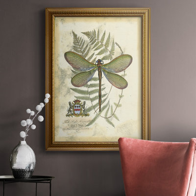 " Regal Dragonfly II (PP) "