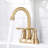 Centerset 2-handle Bathroom Faucet with Drain Assembly-50648151