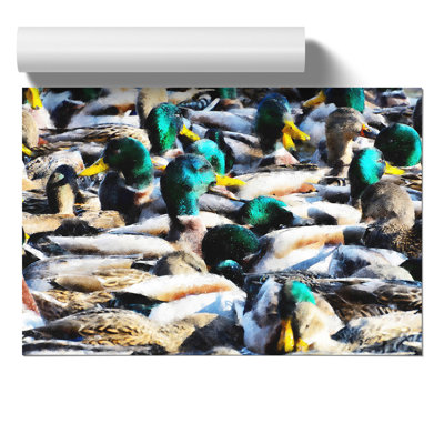 Mallard Ducks - Unframed Graphic Art