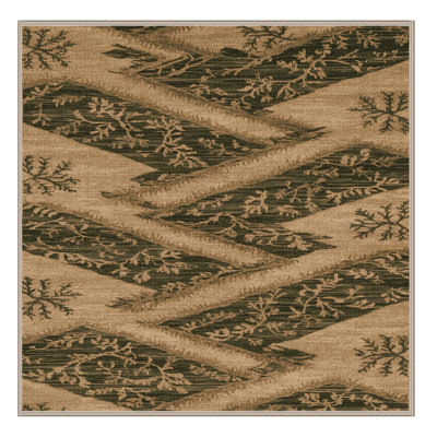Machine Washable Nature Brown Area Rug