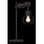 Alaitz Metal Desk Lamp