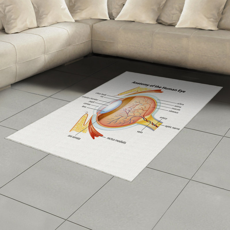 Tapis décoratif à longues fibres en fibres à haute densité Science, Rectangle— 4 pi x 5 pi 8 po