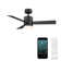 Axis 44'' Ceiling Fan with LED Lights